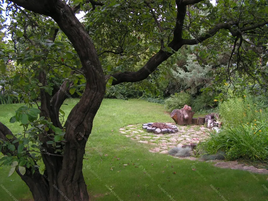 Kiadó albérlet 390000 Ft/hó áron: Budapest, XI. kerület  Rákó utca. Mérete: 75 nm, 3 szobás | Alberlet.hu - 6660770