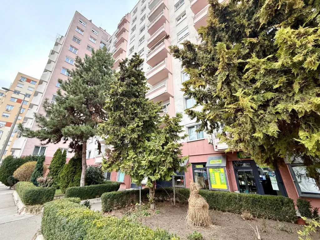 Kiadó albérlet 260000 Ft/hó áron: Budapest, XI. kerület  Regős utca. Mérete: 54 nm, 2 szobás | Alberlet.hu - 6423532