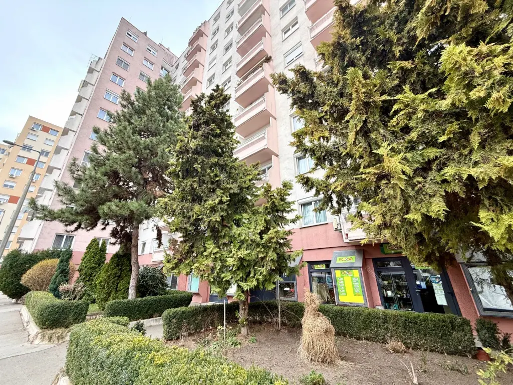 Kiadó albérlet 250000 Ft/hó áron: Budapest, XI. kerület  Regős utca. Mérete: 54 nm, 2 szobás | Alberlet.hu - 6693571