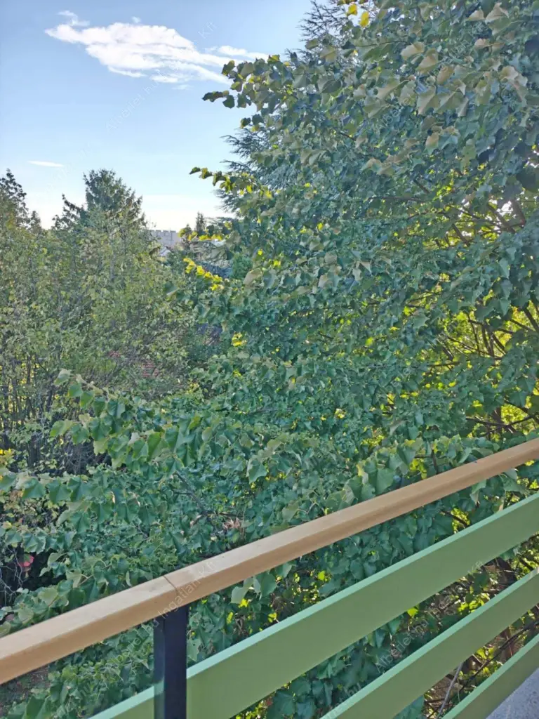 Kiadó albérlet 290000 Ft/hó áron: Budapest, XI. kerület  Sasadi köz. Mérete: 54 nm, 2 szobás | Alberlet.hu - 6571669