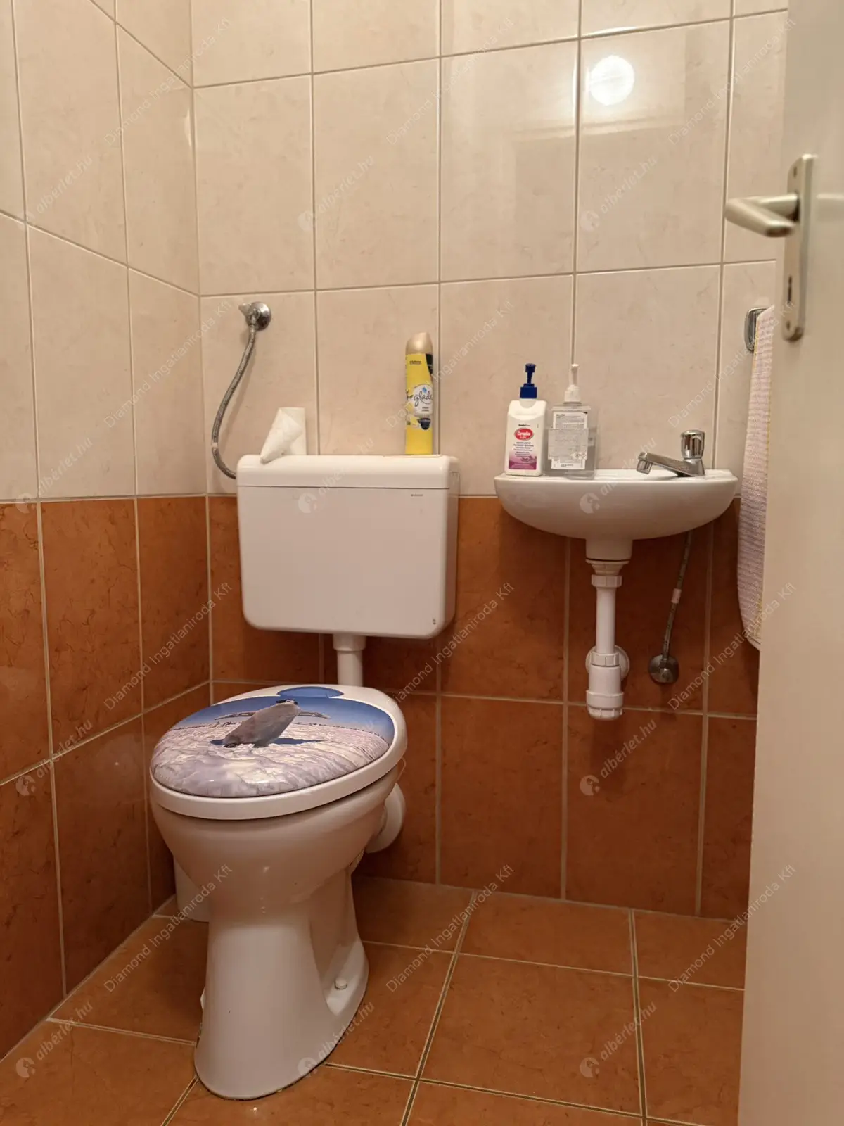 Kiadó albérlet 499000 Ft/hó áron: Budapest, XI. kerület  Solt utca. Mérete: 109 nm, 4 szobás | Alberlet.hu - 6633681