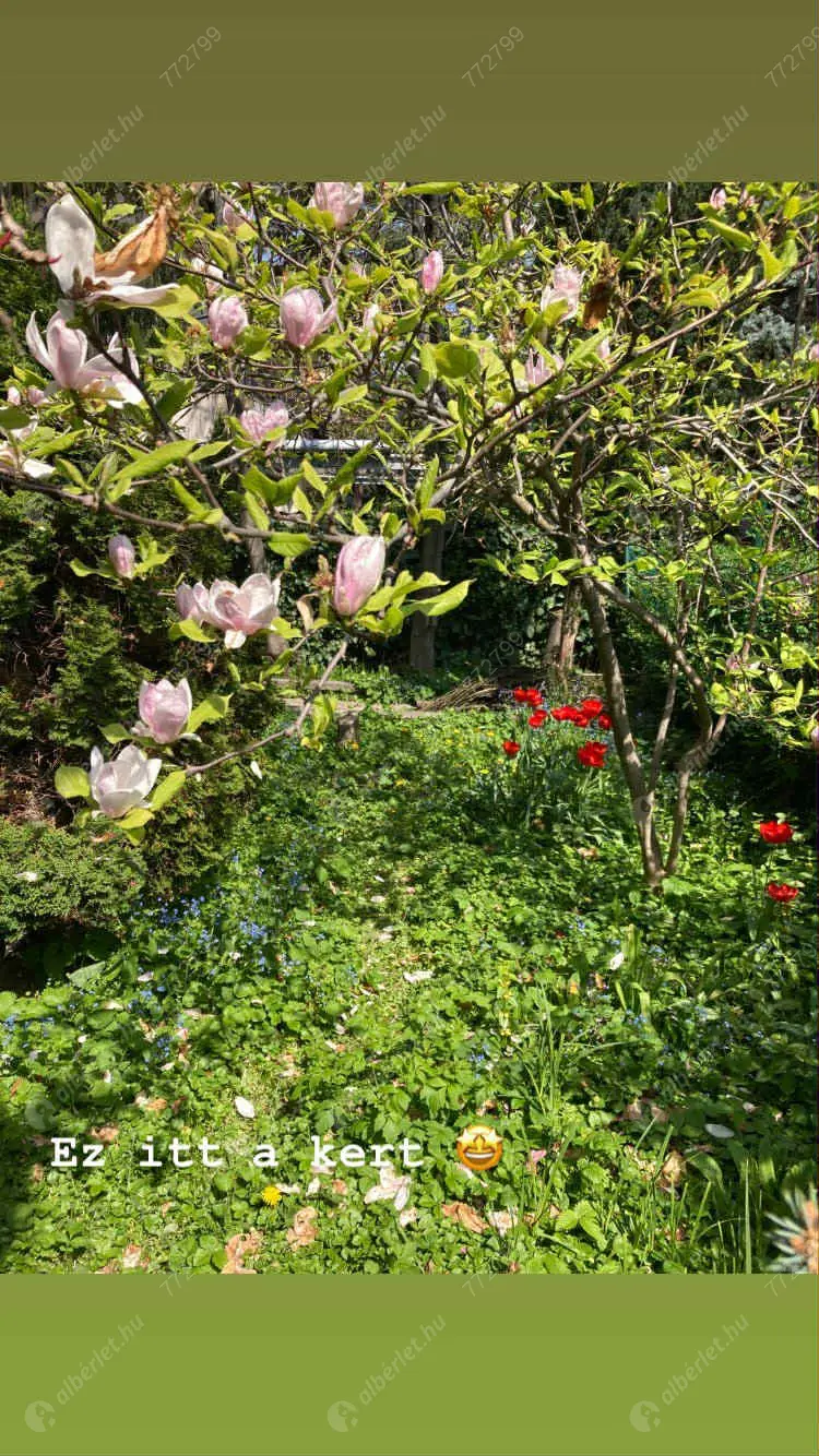 Kiadó albérlet 190000 Ft/hó áron: Budapest, XI. kerület  Takács Menyhért utca. Mérete: 50 nm, 1 szobás | Alberlet.hu - 6619504