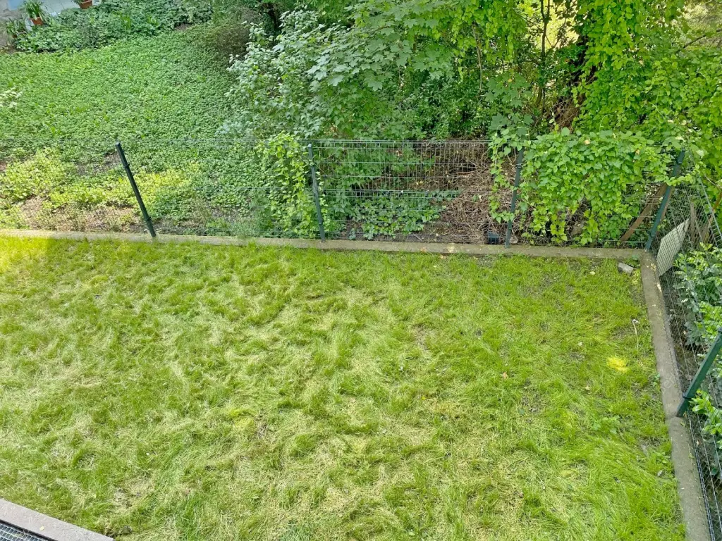 Kiadó albérlet 500000 Ft/hó áron: Budapest, XI. kerület  Ulászló utca. Mérete: 100 nm, 4 szobás | Alberlet.hu - 6552478