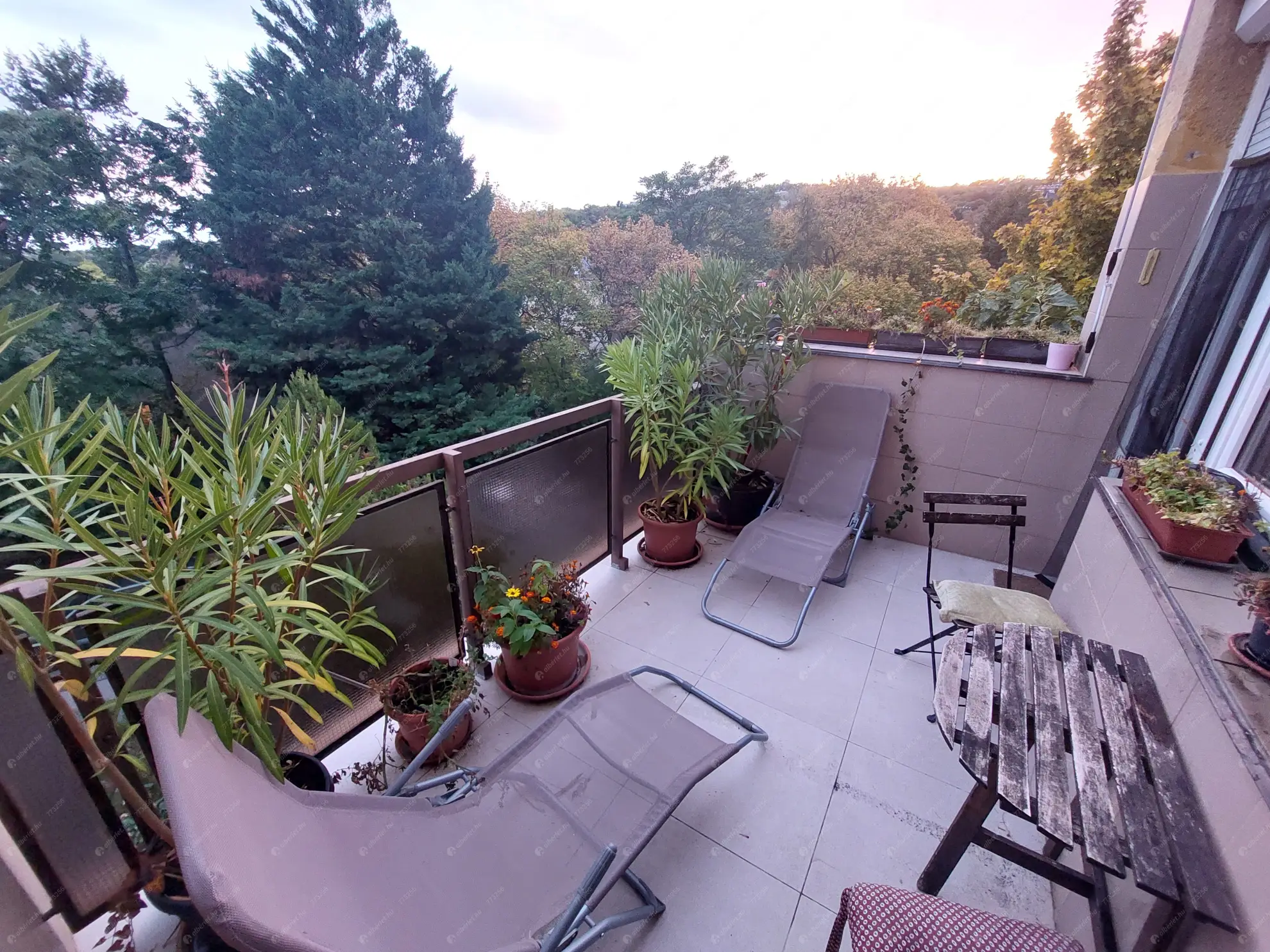 Kiadó albérlet 360000 Ft/hó áron: Budapest, XII. kerület  Abos utca. Mérete: 59 nm, 3 szobás | Alberlet.hu - 6628240