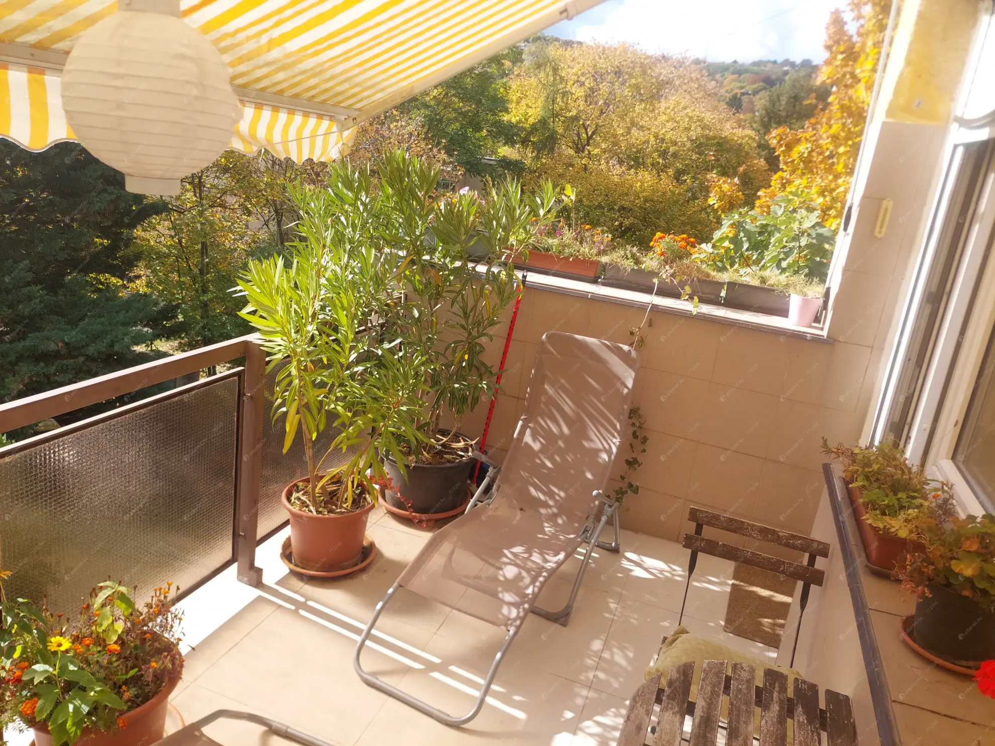 Kiadó albérlet 320000 Ft/hó áron: Budapest, XII. kerület  Abos utca. Mérete: 62 nm, 3 szobás | Alberlet.hu - 6628241