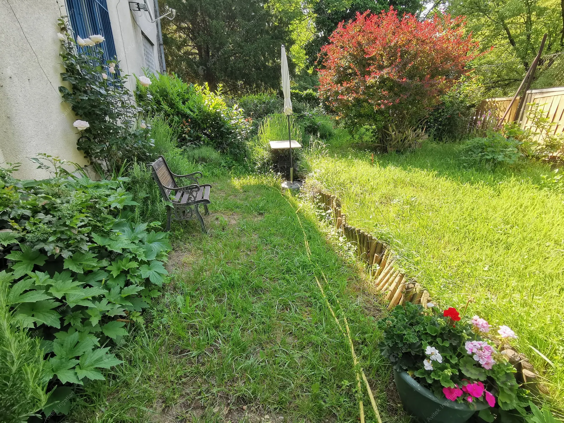 Kiadó albérlet 220000 Ft/hó áron: Budapest, XII. kerület  Alma u. . Mérete: 42 nm, 1 szobás | Alberlet.hu - 6231914