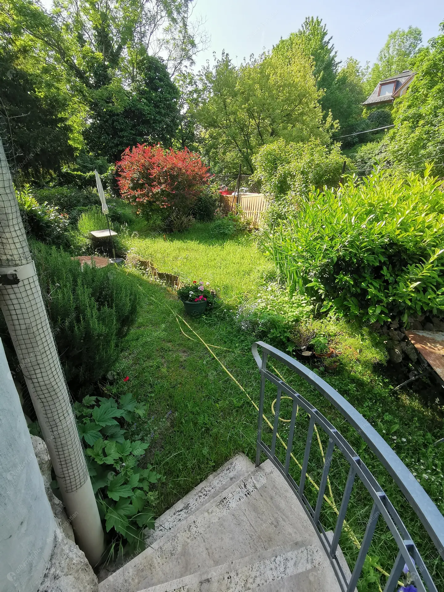 Kiadó albérlet 220000 Ft/hó áron: Budapest, XII. kerület  Alma u. . Mérete: 42 nm, 1 szobás | Alberlet.hu - 6231922