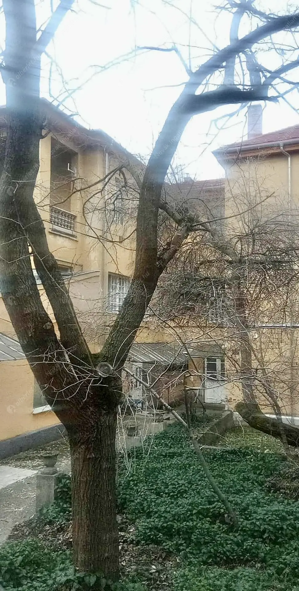 Kiadó albérlet 220000 Ft/hó áron: Budapest, XII. kerület  Bürök utca. Mérete: 30 nm, 1 szobás | Alberlet.hu - 6600654