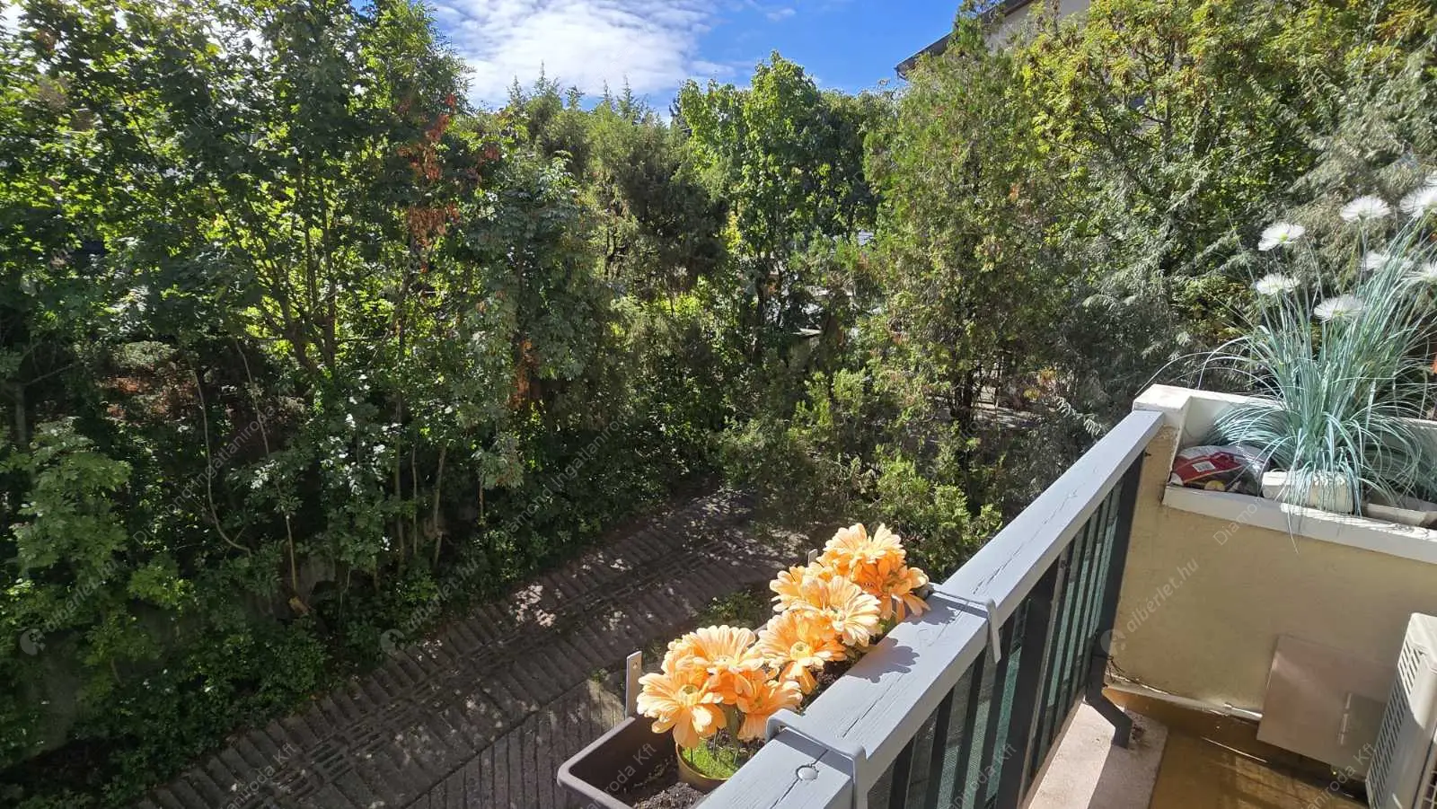 Kiadó albérlet 320000 Ft/hó áron: Budapest, XII. kerület  Csipke utca. Mérete: 45 nm, 1 szobás | Alberlet.hu - 6543773