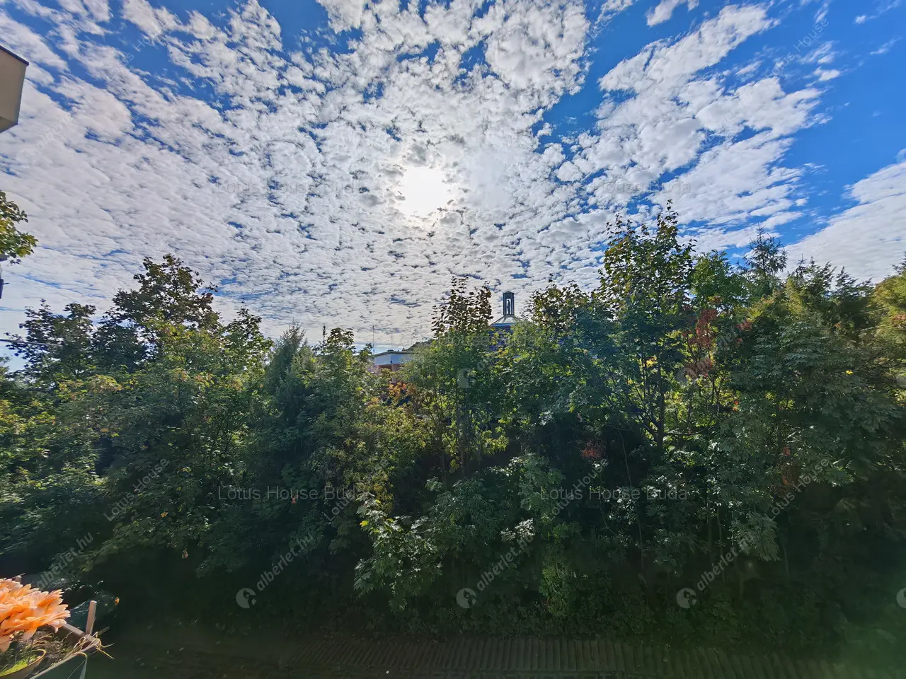 Kiadó albérlet 320000 Ft/hó áron: Budapest, XII. kerület  Csipke utca. Mérete: 45 nm, 2 szobás | Alberlet.hu - 6544525