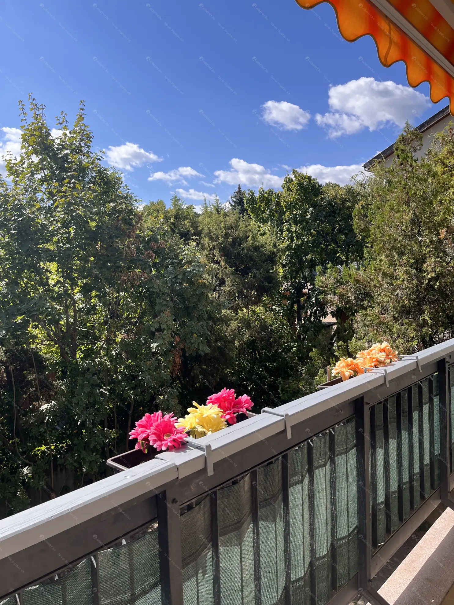 Kiadó albérlet 320000 Ft/hó áron: Budapest, XII. kerület  Csipke utca. Mérete: 45 nm, 1 szobás | Alberlet.hu - 6545665