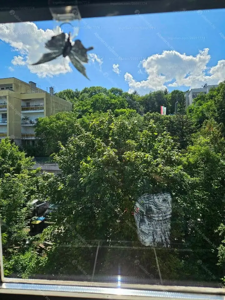 Kiadó albérlet 330000 Ft/hó áron: Budapest, XII. kerület  Csorna utca. Mérete: 62 nm, 2 szobás | Alberlet.hu - 6679572