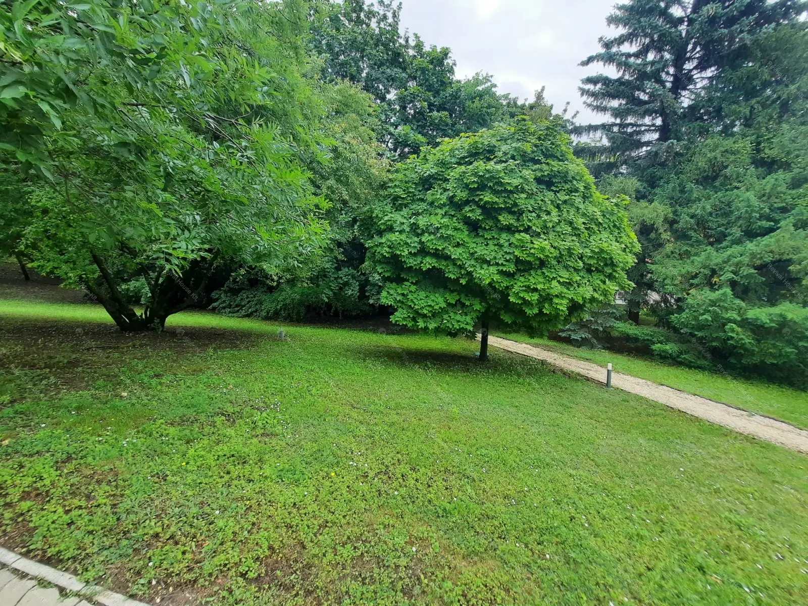 Kiadó albérlet 700000 Ft/hó áron: Budapest, XII. kerület  Dániel út. Mérete: 100 nm, 3 szobás | Alberlet.hu - 5995667