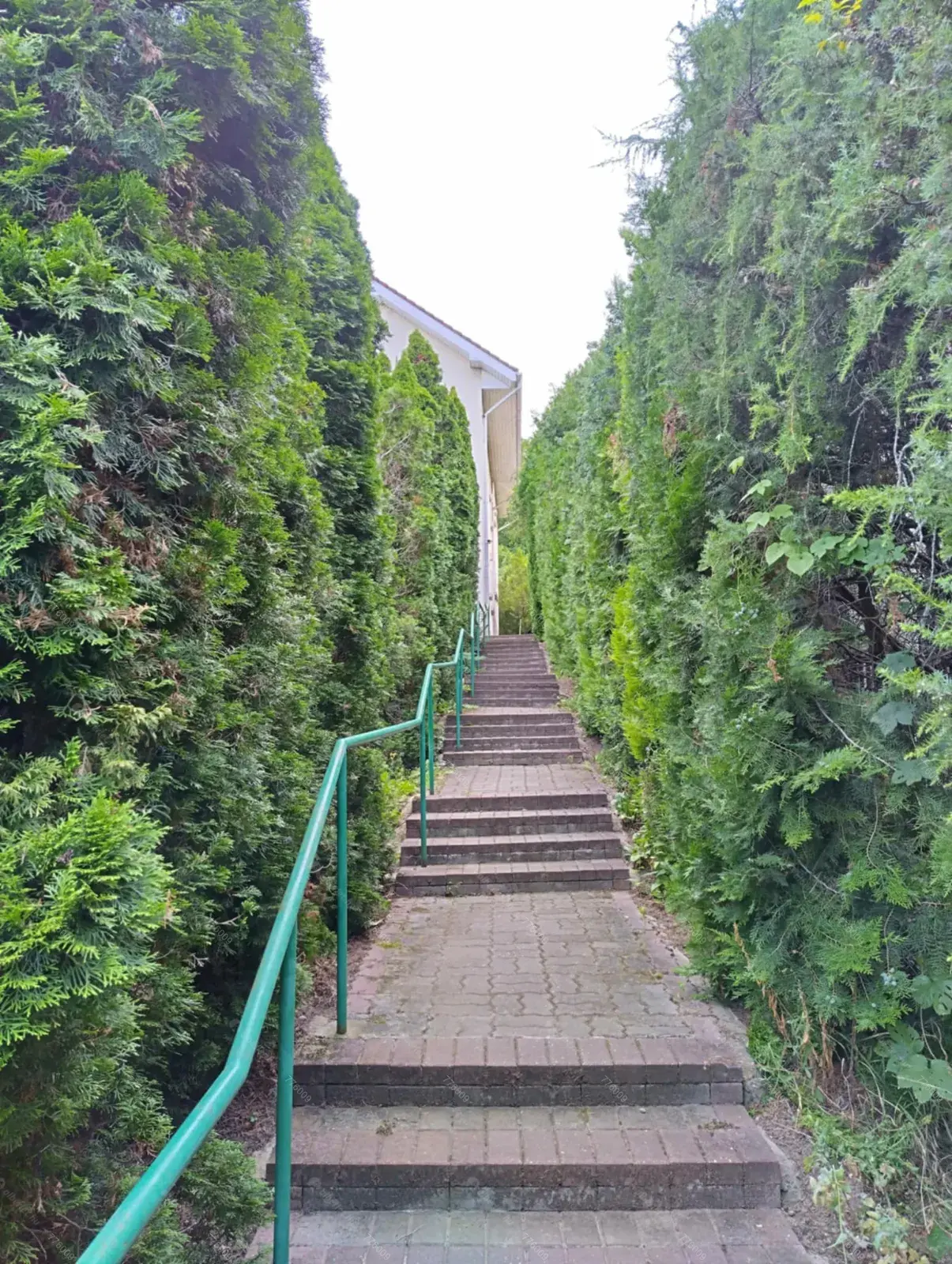 Kiadó albérlet 500000 Ft/hó áron: Budapest, XII. kerület  Denevér út. Mérete: 83 nm, 3 szobás | Alberlet.hu - 6678138