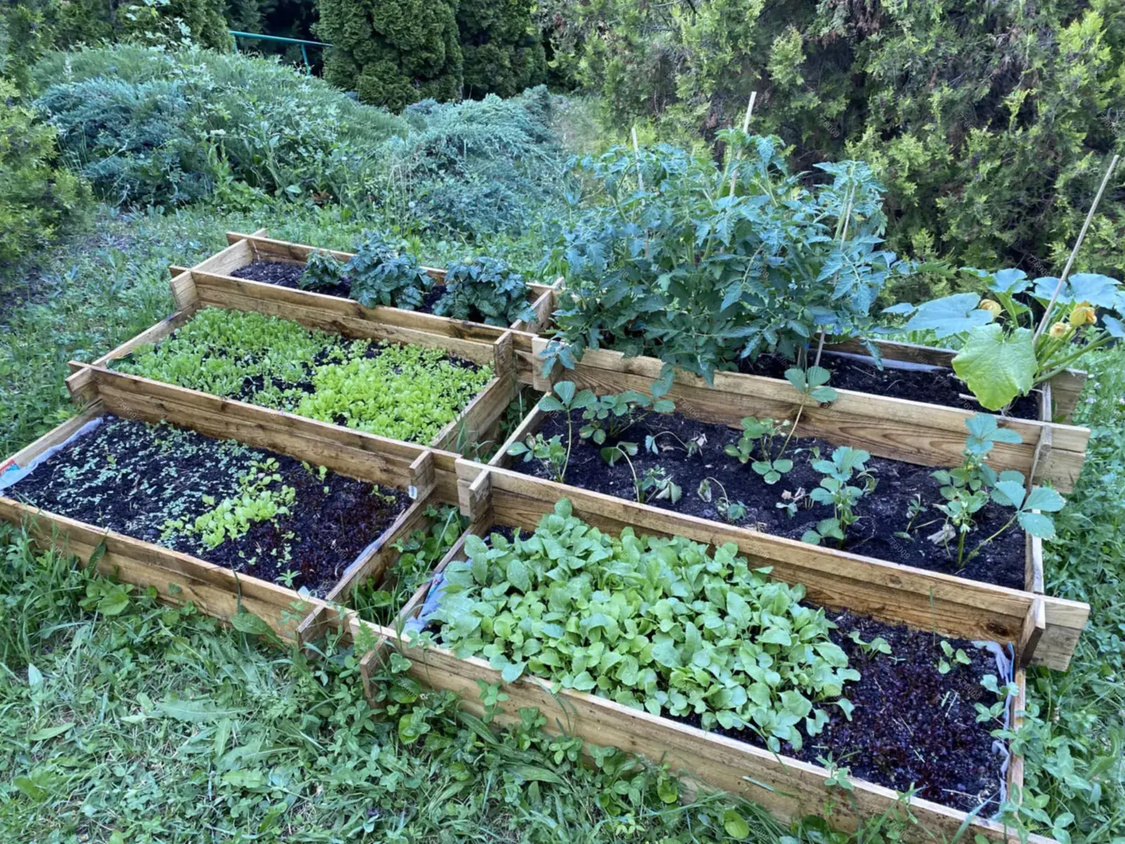 Kiadó albérlet 500000 Ft/hó áron: Budapest, XII. kerület  Denevér út. Mérete: 83 nm, 3 szobás | Alberlet.hu - 6678145