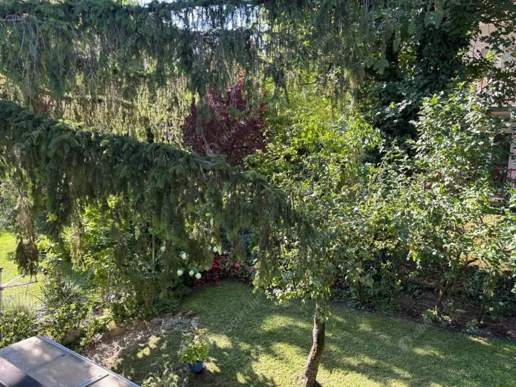 Kiadó albérlet 370000 Ft/hó áron: Budapest, XII. kerület  Diós árok. Mérete: 75 nm, 2 szobás | Alberlet.hu - 6541218