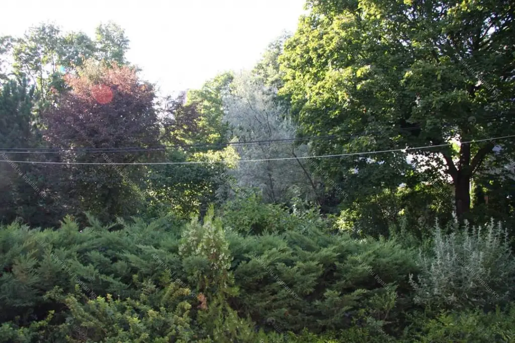 Kiadó albérlet 280000 Ft/hó áron: Budapest, XII. kerület  Fodor  utca . Mérete: 55 nm, 2 szobás | Alberlet.hu - 6656349