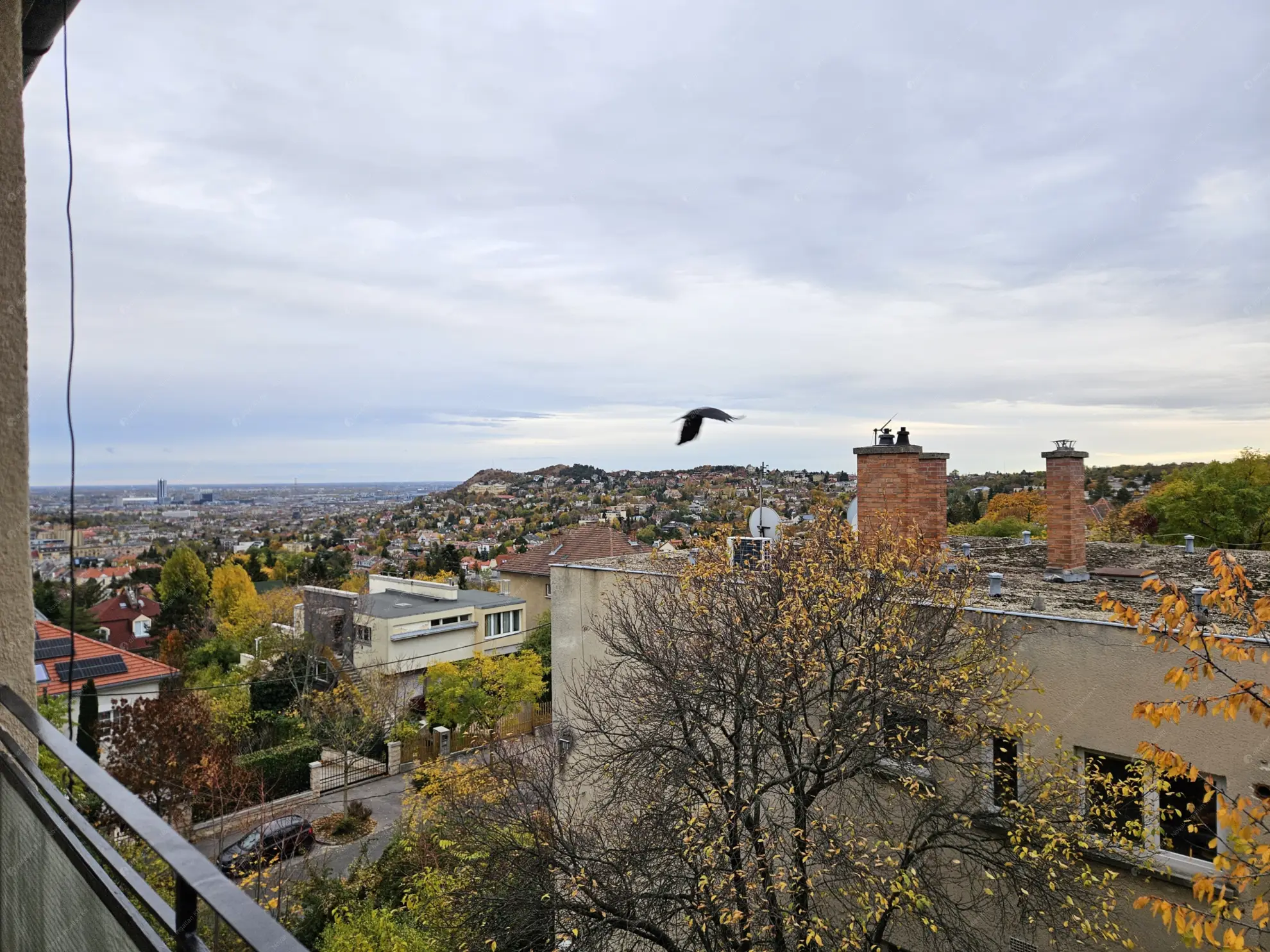 Kiadó albérlet 295000 Ft/hó áron: Budapest, XII. kerület  Fodor utca. Mérete: 38 nm, 1 szobás | Alberlet.hu - 6590627