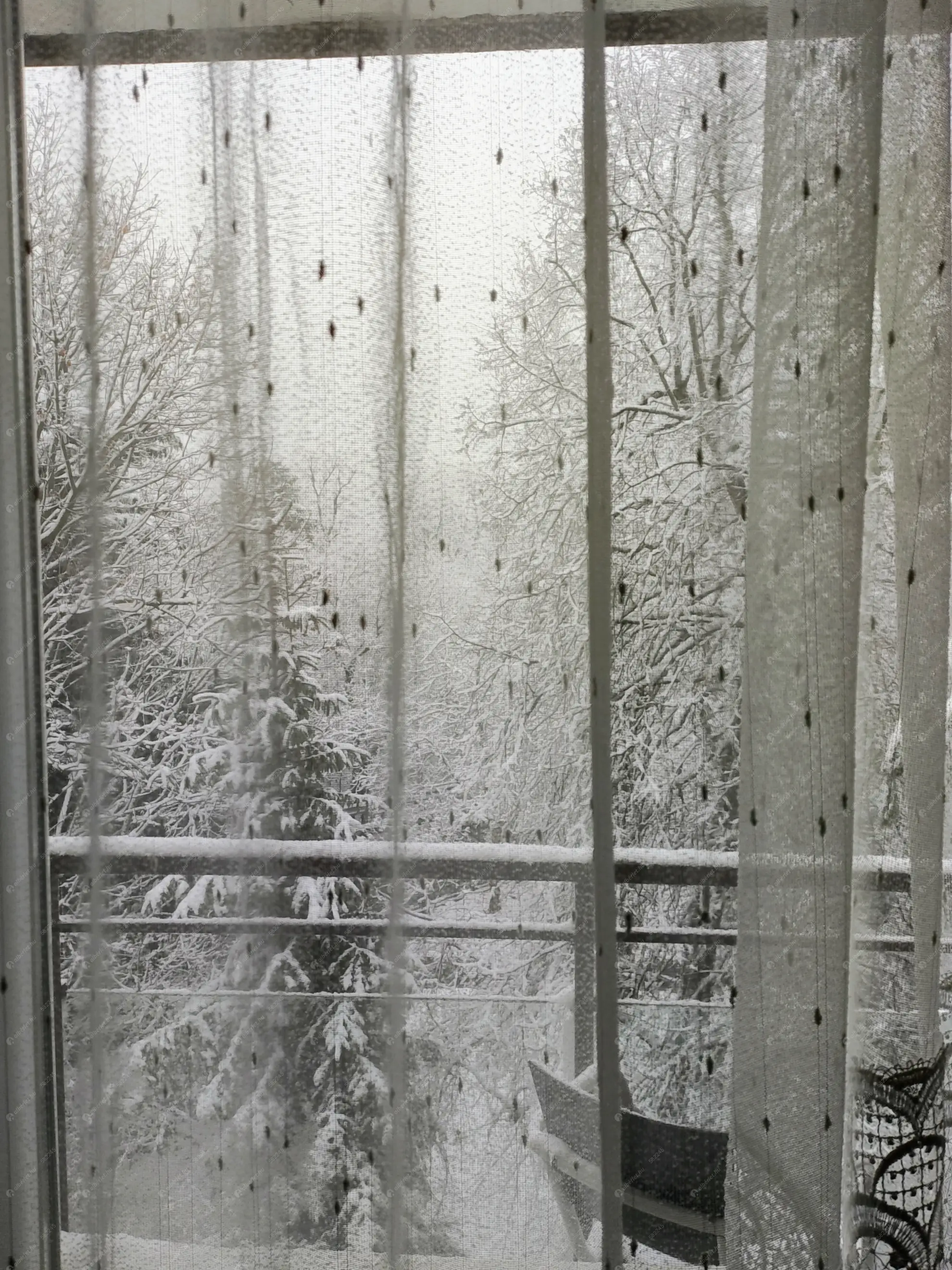 Kiadó albérlet 260000 Ft/hó áron: Budapest, XII. kerület  Fülemile út. Mérete: 66 nm, 2 szobás | Alberlet.hu - 6609520