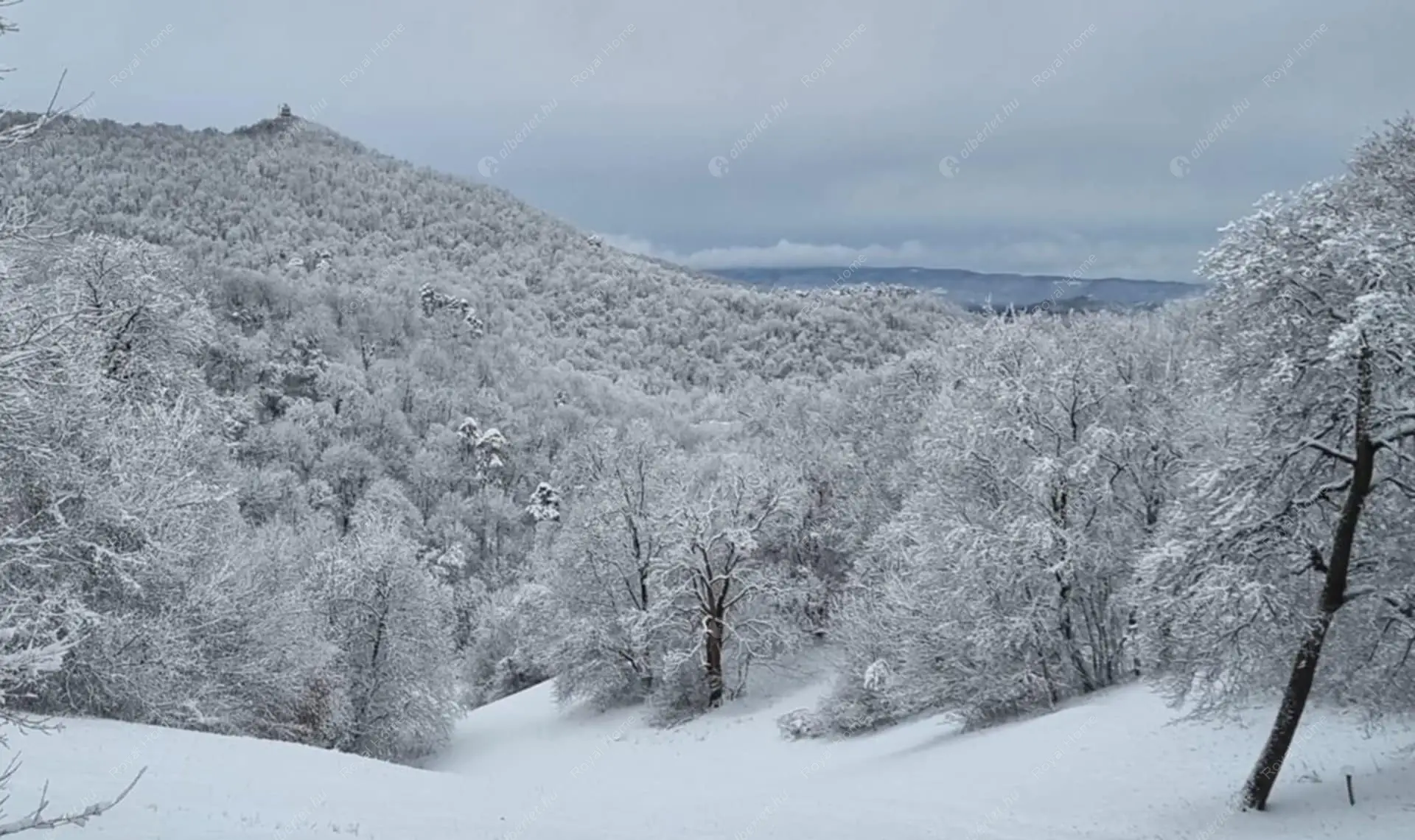 Kiadó albérlet 259000 Ft/hó áron: Budapest, XII. kerület  Fülemile út. Mérete: 70 nm, 3 szobás | Alberlet.hu - 6619554