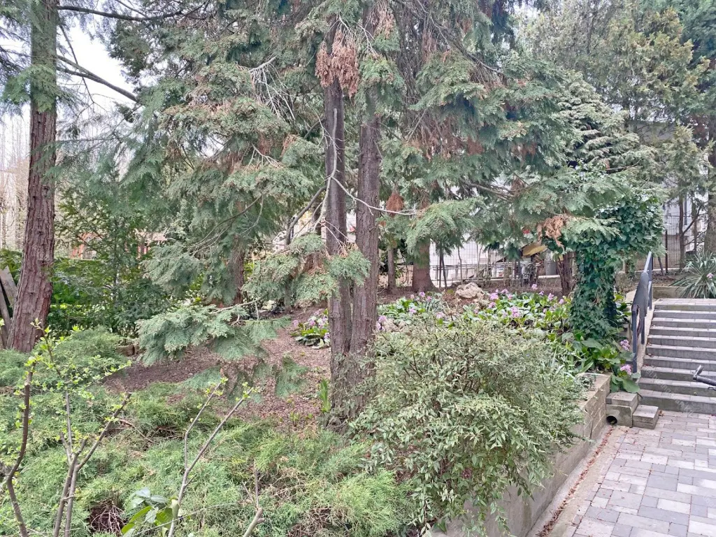 Kiadó albérlet 160000 Ft/hó áron: Budapest, XII. kerület  Gyimes utca. Mérete: 32 nm, 1 szobás | Alberlet.hu - 6684751