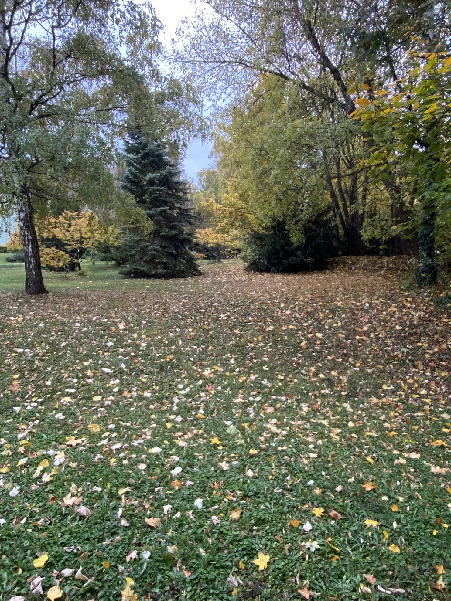 Kiadó albérlet 210000 Ft/hó áron: Budapest, XII. kerület  György Aladár utca. Mérete: 38 nm, 1 szobás | Alberlet.hu - 6570930