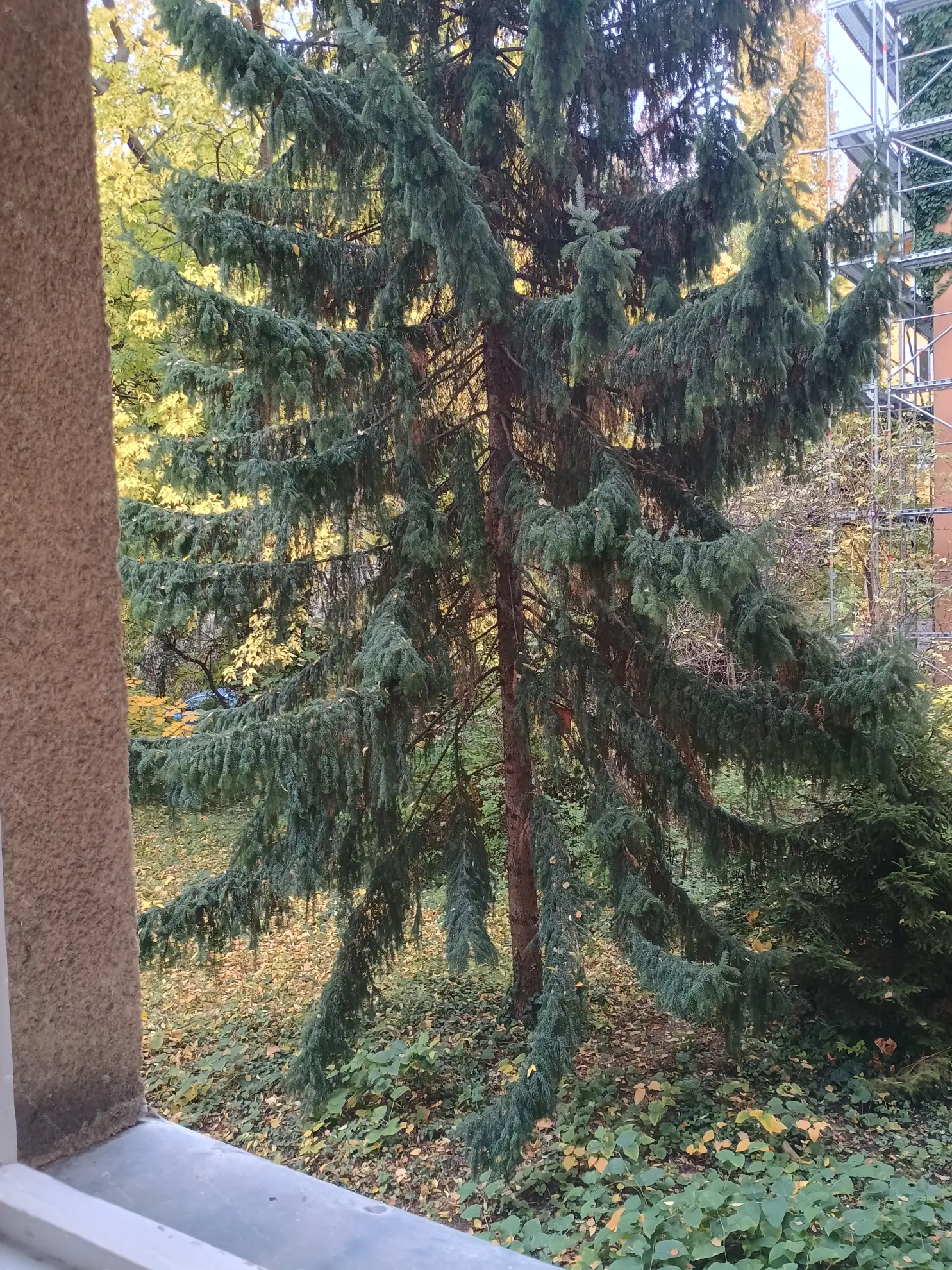 Kiadó albérlet 185000 Ft/hó áron: Budapest, XII. kerület  Hollósy Simon utca. Mérete: 29 nm, 1 szobás | Alberlet.hu - 6570661