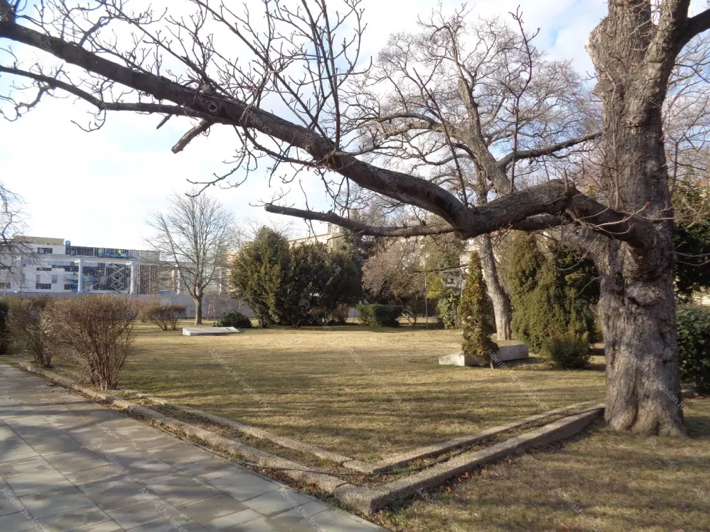 Kiadó albérlet 420000 Ft/hó áron: Budapest, XII. kerület  Istenhegyi út. Mérete: 110 nm, 3 szobás | Alberlet.hu - 6640740