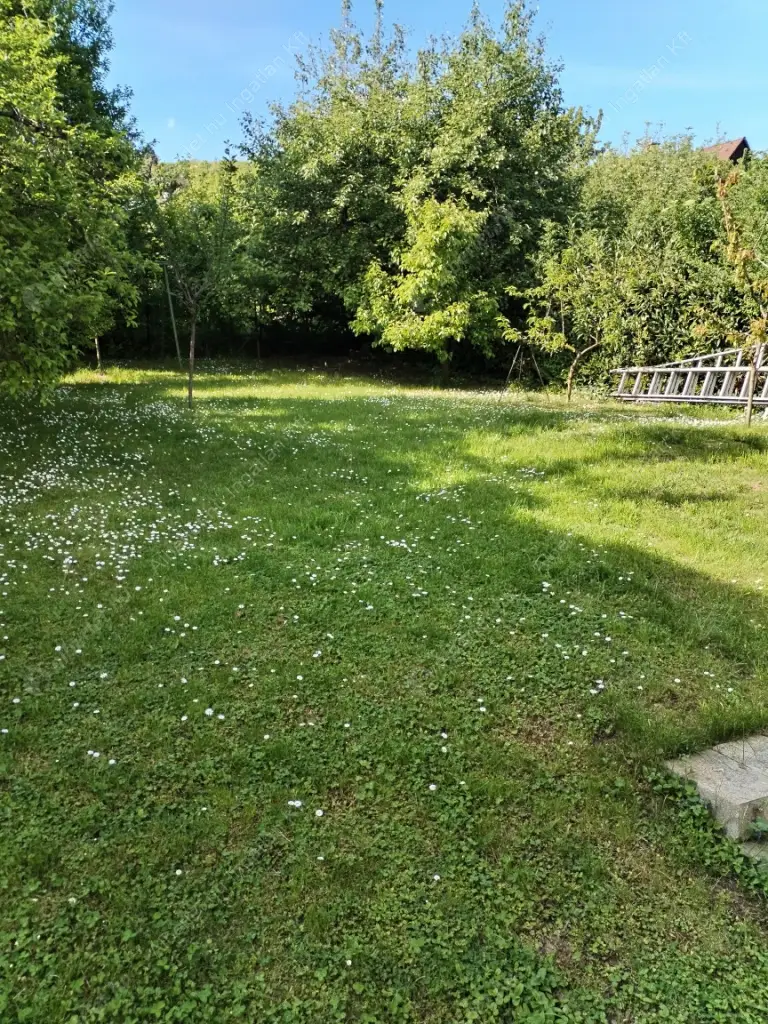 Kiadó albérlet 330000 Ft/hó áron: Budapest, XII. kerület  Lidérc utca. Mérete: 80 nm, 2 szobás | Alberlet.hu - 6566311