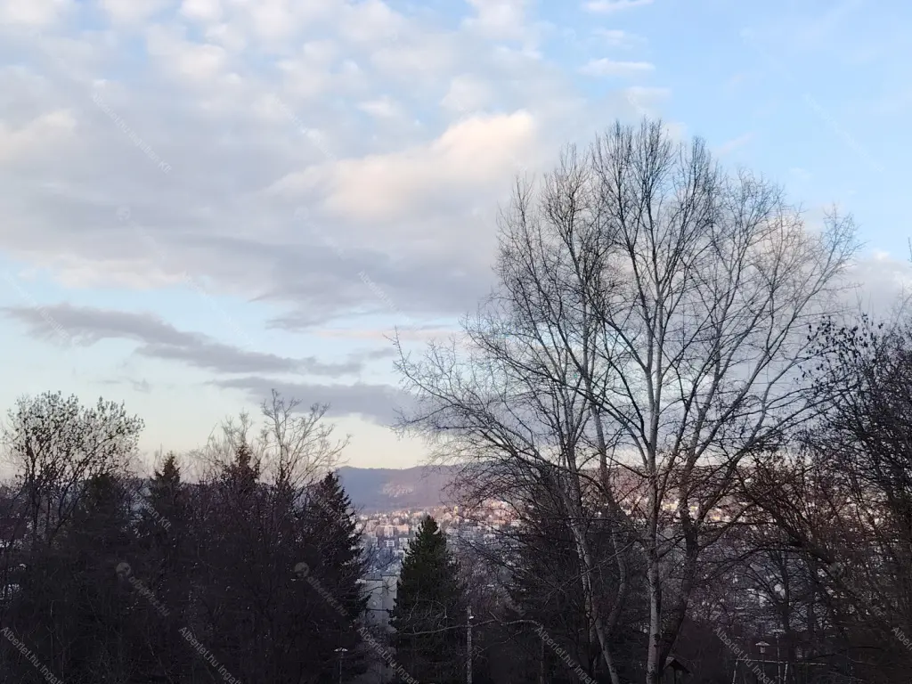 Kiadó albérlet 280000 Ft/hó áron: Budapest, XII. kerület  Melinda út. Mérete: 50 nm, 2 szobás | Alberlet.hu - 6654132