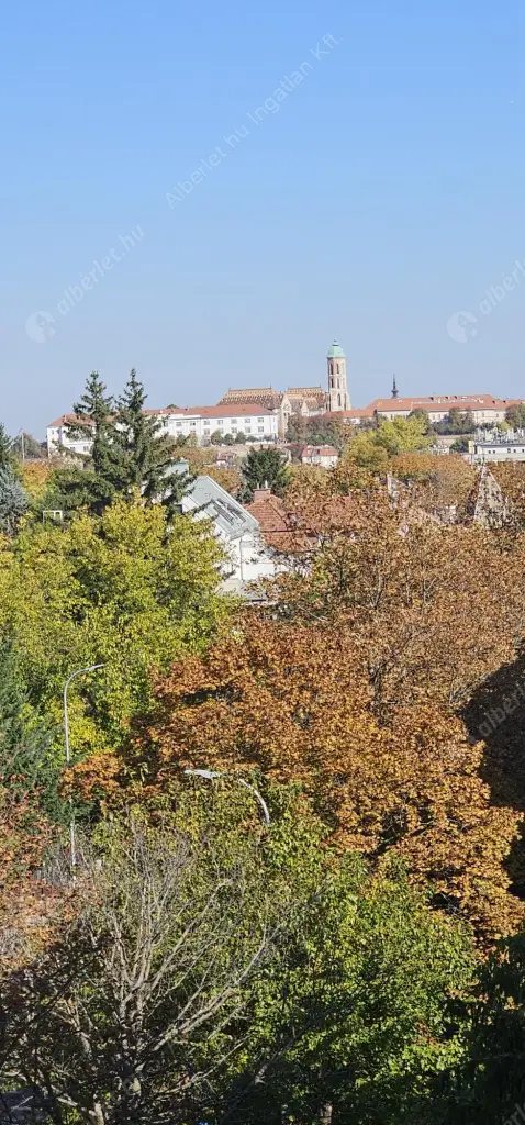 Kiadó albérlet 399000 Ft/hó áron: Budapest, XII. kerület  Németvölgyi út. Mérete: 78 nm, 2 szobás | Alberlet.hu - 6606715
