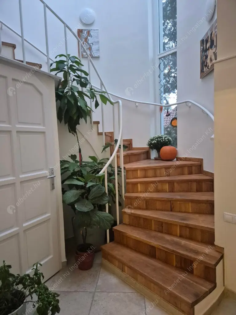 Kiadó albérlet 580000 Ft/hó áron: Budapest, XII. kerület  Patkó utca. Mérete: 152 nm, 5 szobás | Alberlet.hu - 6611797