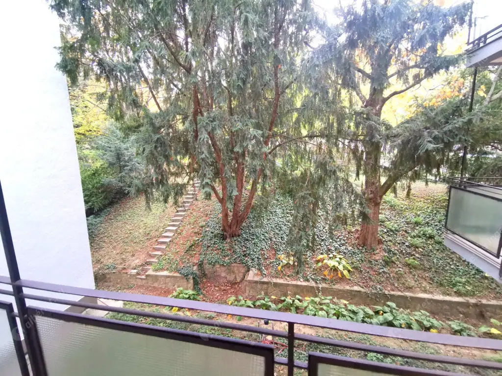 Kiadó albérlet 240000 Ft/hó áron: Budapest, XII. kerület  Ráth György utca. Mérete: 55 nm, 2 szobás | Alberlet.hu - 6562439