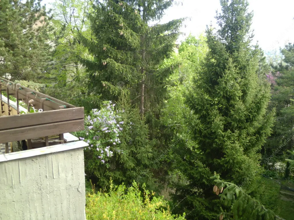 Kiadó albérlet 280000 Ft/hó áron: Budapest, XII. kerület  Susogó utca. Mérete: 60 nm, 2 szobás | Alberlet.hu - 6532229