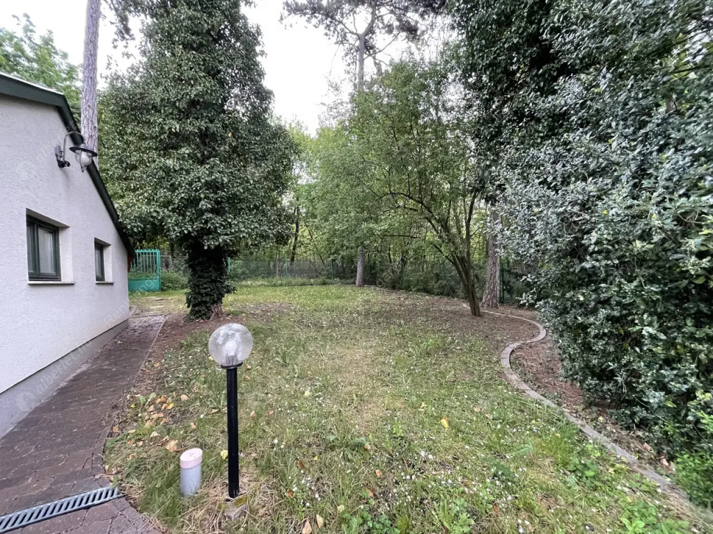 Kiadó albérlet 600000 Ft/hó áron: Budapest, XII. kerület  Szanatórium utca. Mérete: 152 nm, 5 szobás | Alberlet.hu - 6535259