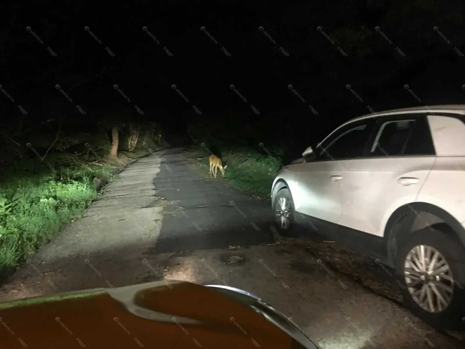 Kiadó albérlet 290000 Ft/hó áron: Budapest, XII. kerület  Szilassy út. Mérete: 47 nm, 2 szobás | Alberlet.hu - 6668814