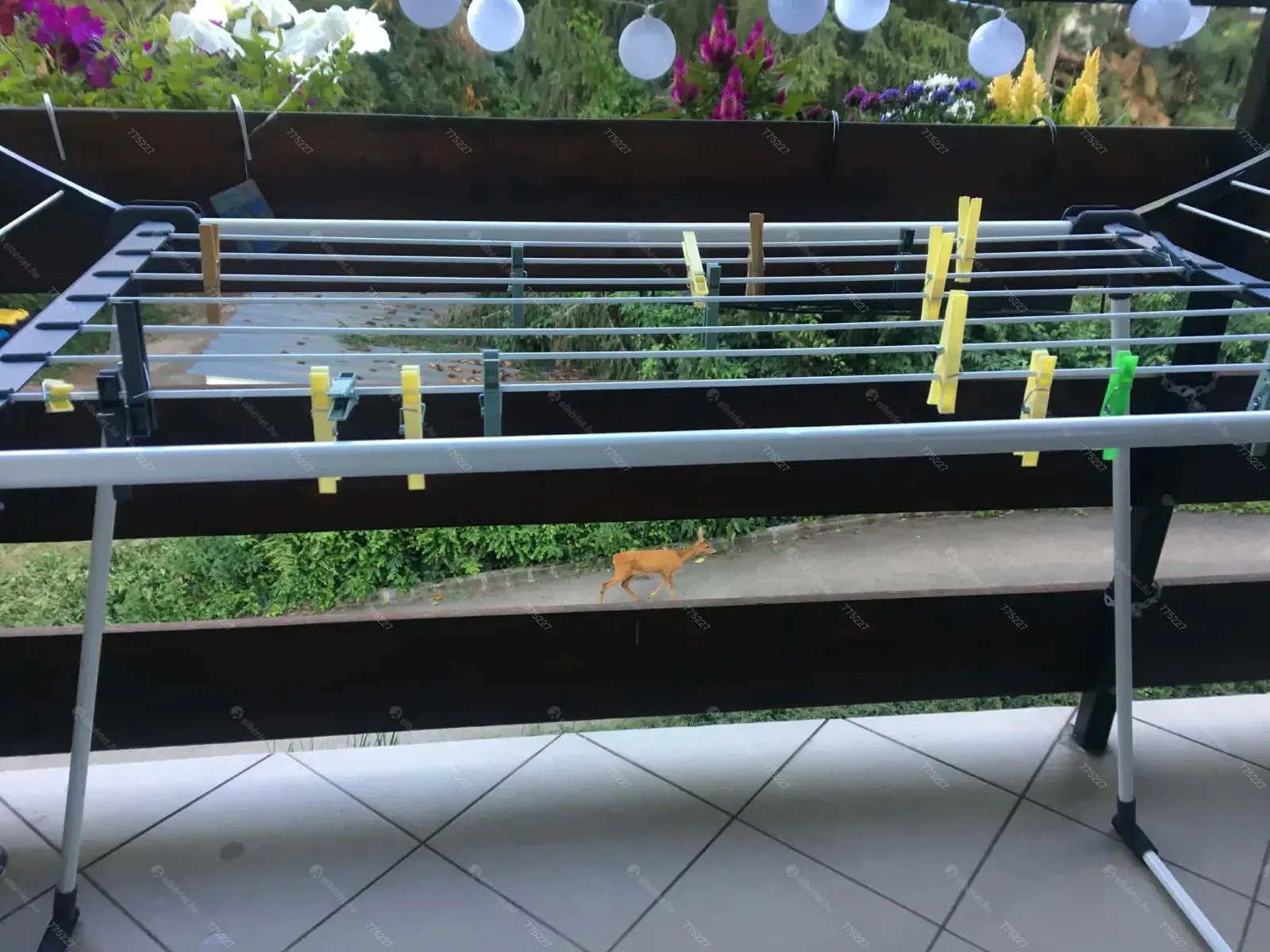 Kiadó albérlet 290000 Ft/hó áron: Budapest, XII. kerület  Szilassy út. Mérete: 47 nm, 2 szobás | Alberlet.hu - 6668816