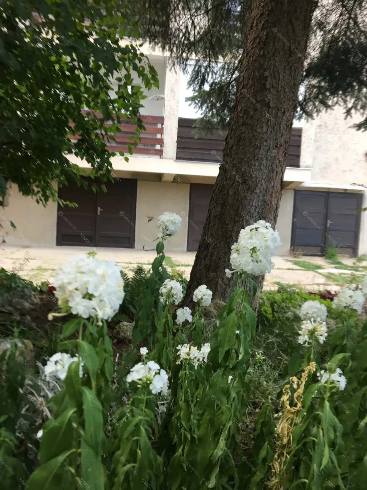 Kiadó albérlet 290000 Ft/hó áron: Budapest, XII. kerület  Szilassy út. Mérete: 47 nm, 2 szobás | Alberlet.hu - 6668817