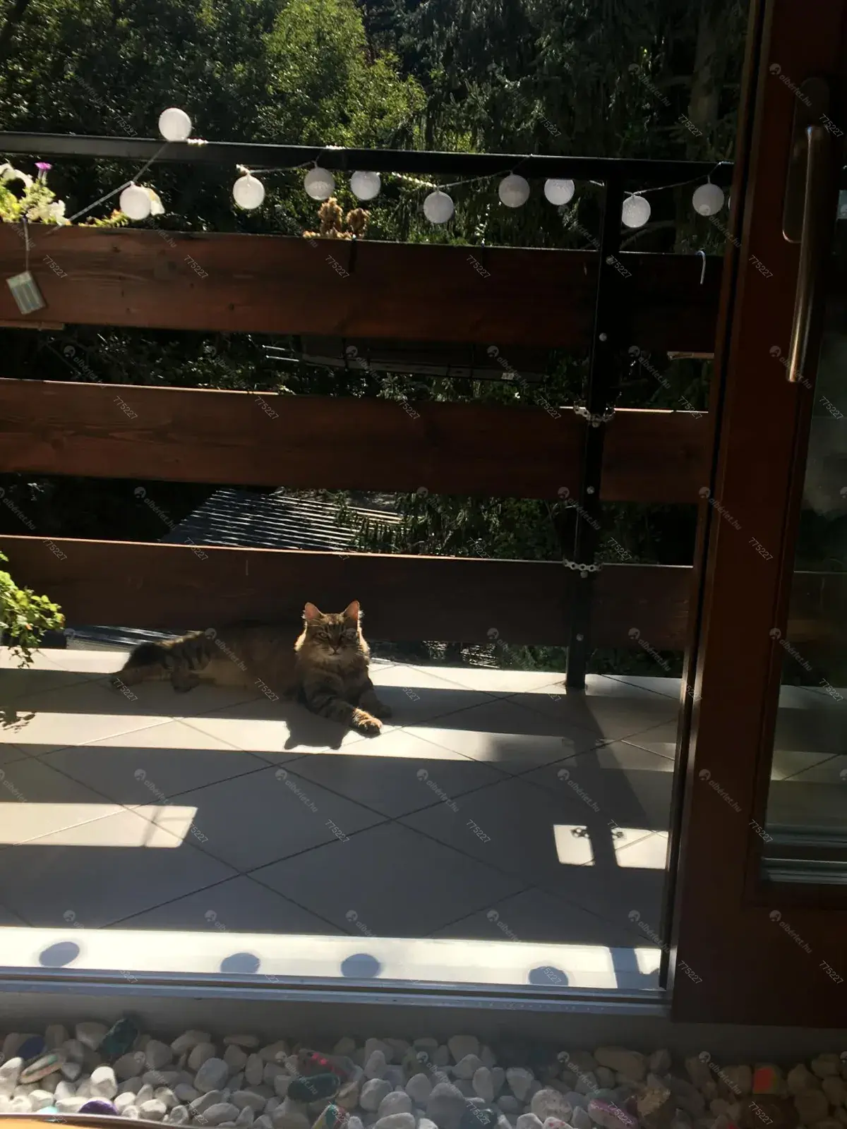 Kiadó albérlet 290000 Ft/hó áron: Budapest, XII. kerület  Szilassy út. Mérete: 47 nm, 2 szobás | Alberlet.hu - 6668819