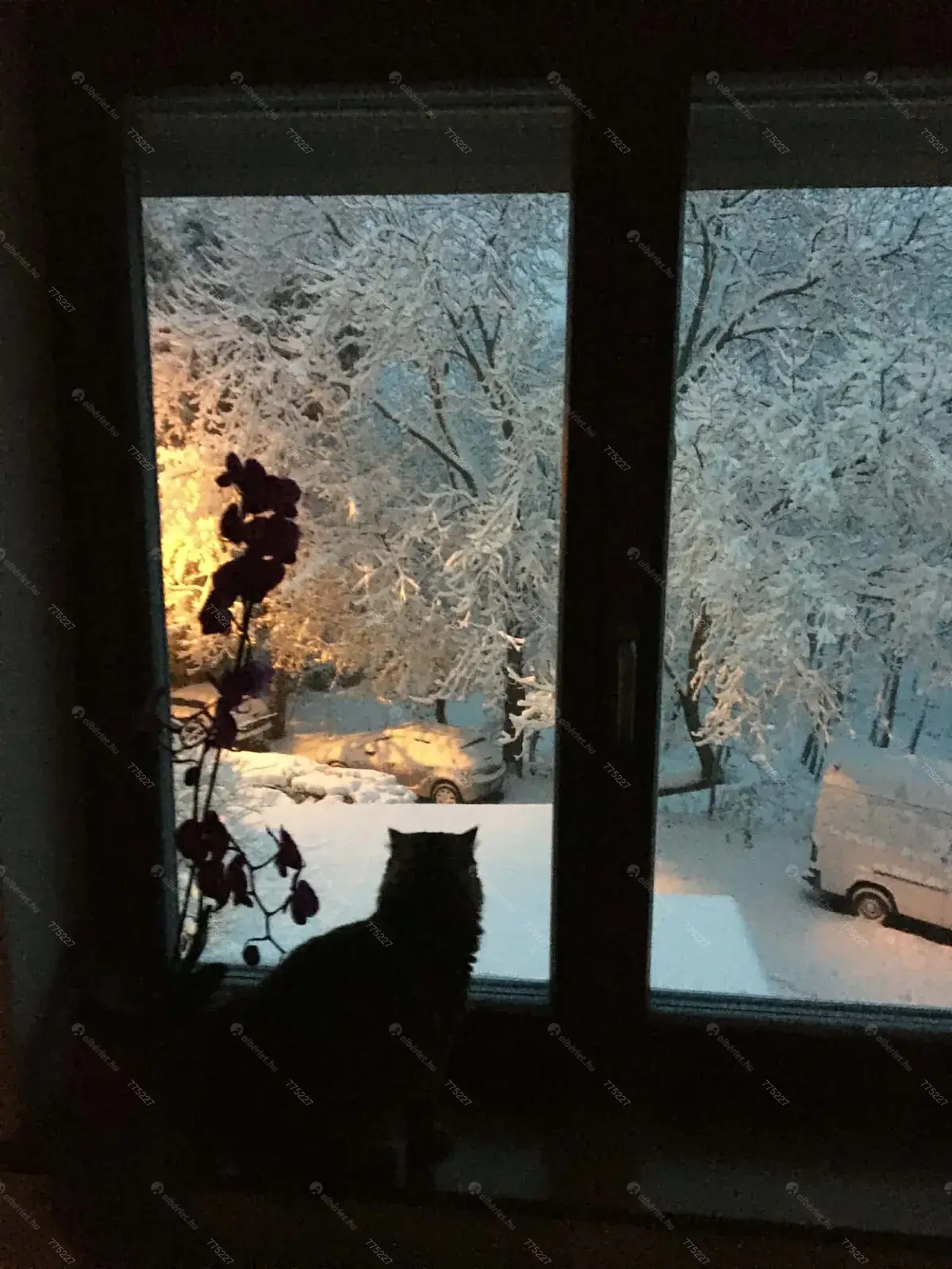 Kiadó albérlet 290000 Ft/hó áron: Budapest, XII. kerület  Szilassy út. Mérete: 47 nm, 2 szobás | Alberlet.hu - 6668820