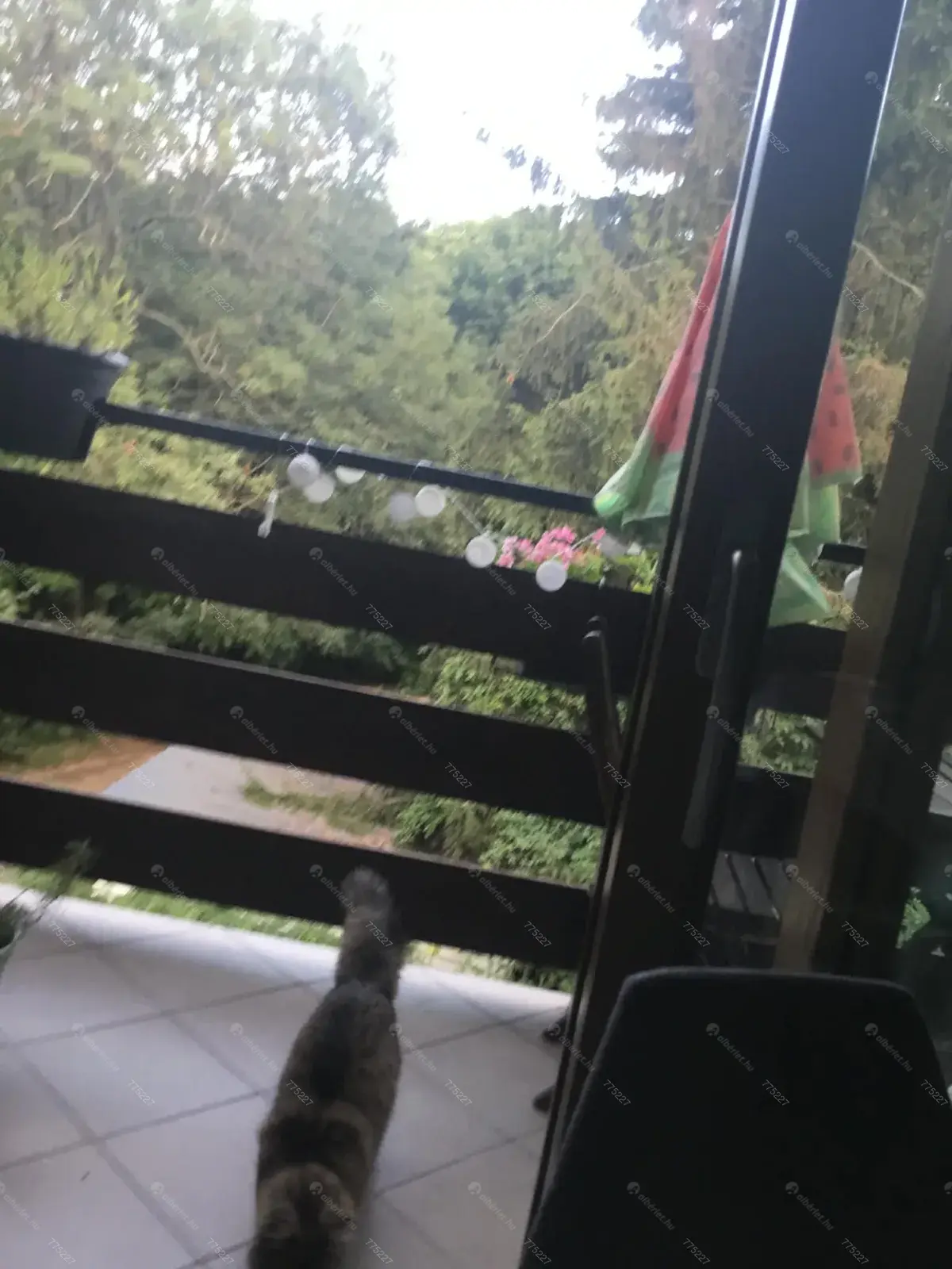 Kiadó albérlet 290000 Ft/hó áron: Budapest, XII. kerület  Szilassy út. Mérete: 47 nm, 2 szobás | Alberlet.hu - 6668823