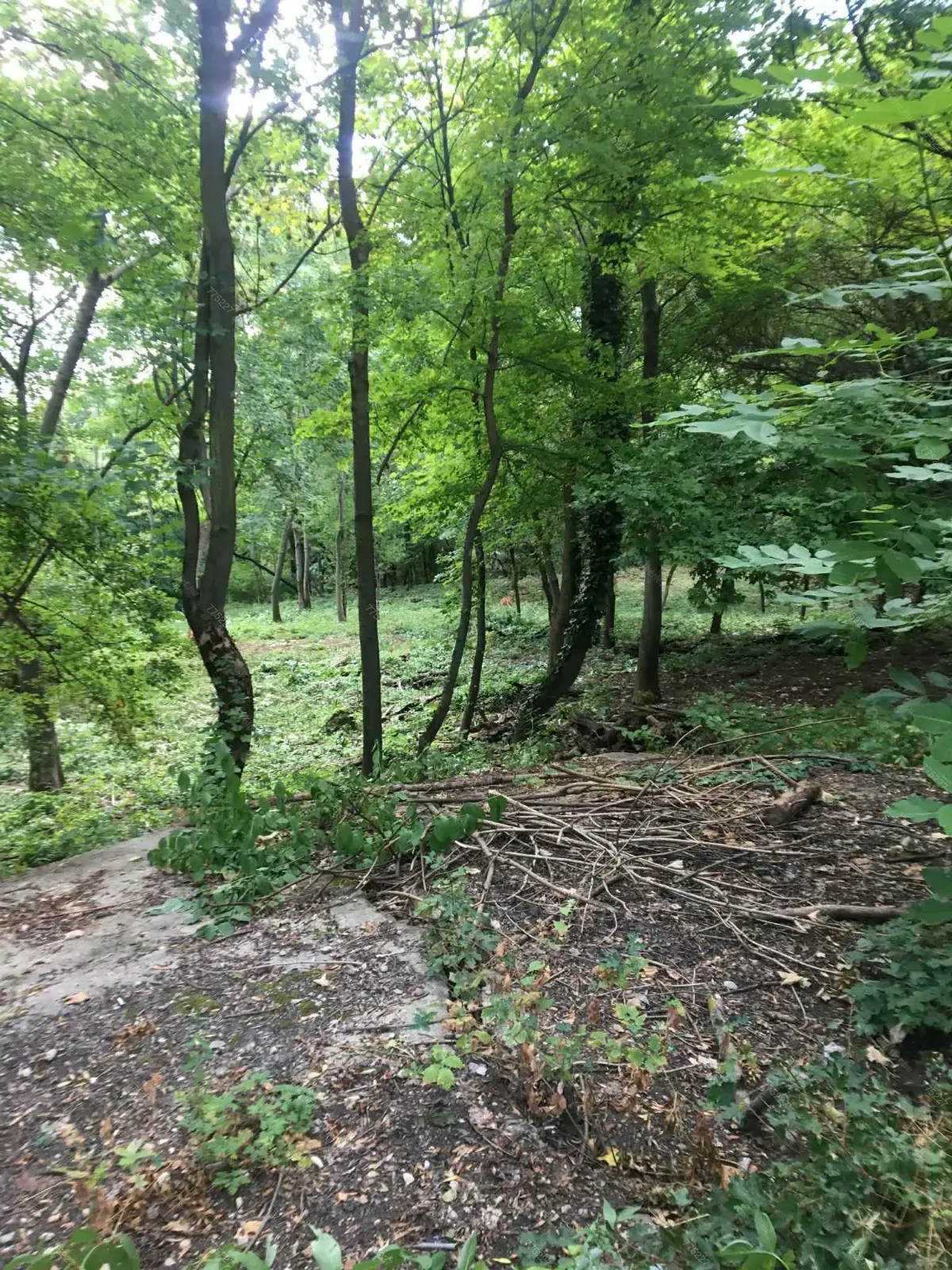 Kiadó albérlet 290000 Ft/hó áron: Budapest, XII. kerület  Szilassy út. Mérete: 47 nm, 2 szobás | Alberlet.hu - 6668824