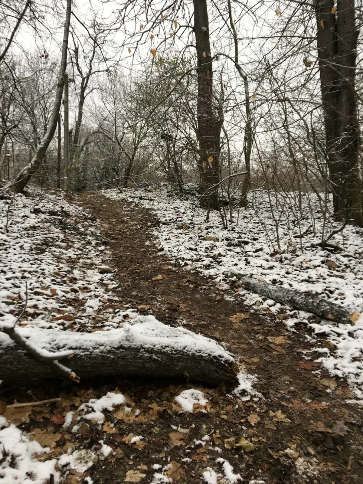 Kiadó albérlet 290000 Ft/hó áron: Budapest, XII. kerület  Szilassy út. Mérete: 47 nm, 2 szobás | Alberlet.hu - 6668825