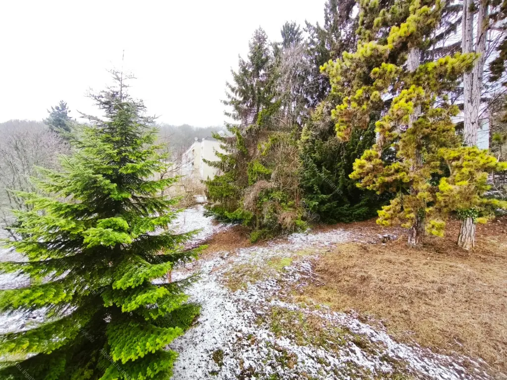 Kiadó albérlet 250000 Ft/hó áron: Budapest, XII. kerület  Szilassy út. Mérete: 55 nm, 2 szobás | Alberlet.hu - 6656583