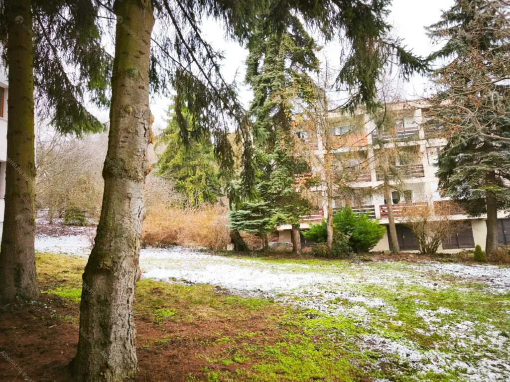 Kiadó albérlet 250000 Ft/hó áron: Budapest, XII. kerület  Szilassy út. Mérete: 55 nm, 2 szobás | Alberlet.hu - 6656599