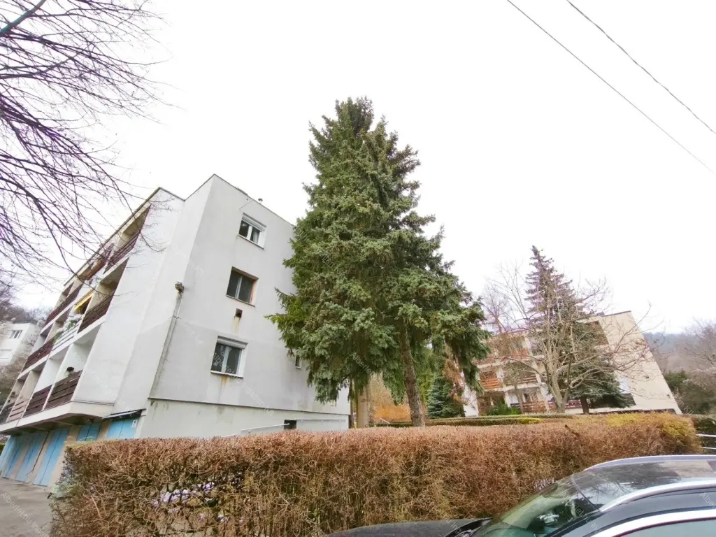 Kiadó albérlet 250000 Ft/hó áron: Budapest, XII. kerület  Szilassy út. Mérete: 55 nm, 2 szobás | Alberlet.hu - 6656600