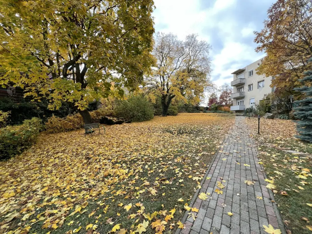 Kiadó albérlet 255000 Ft/hó áron: Budapest, XII. kerület  Tündér utca. Mérete: 48 nm, 2 szobás | Alberlet.hu - 6624167