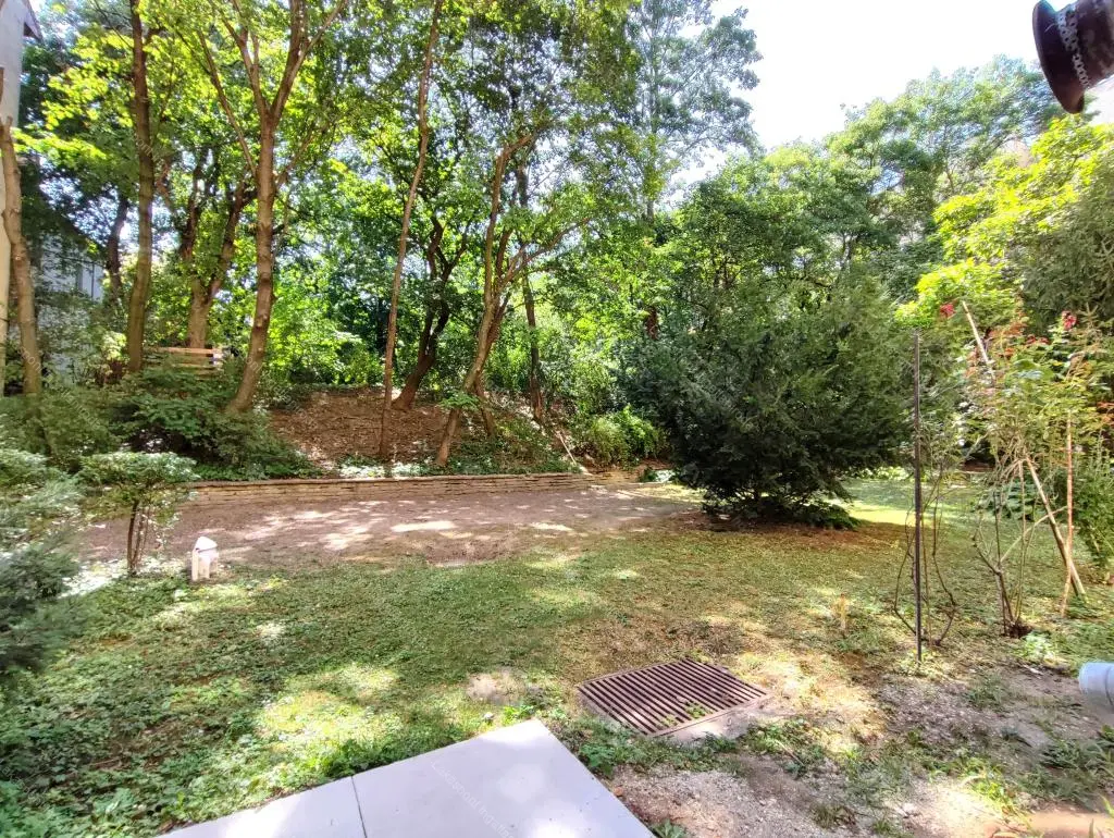 Kiadó albérlet 300000 Ft/hó áron: Budapest, XII. kerület  Városmajor utca. Mérete: 50 nm, 1 szobás | Alberlet.hu - 6650512