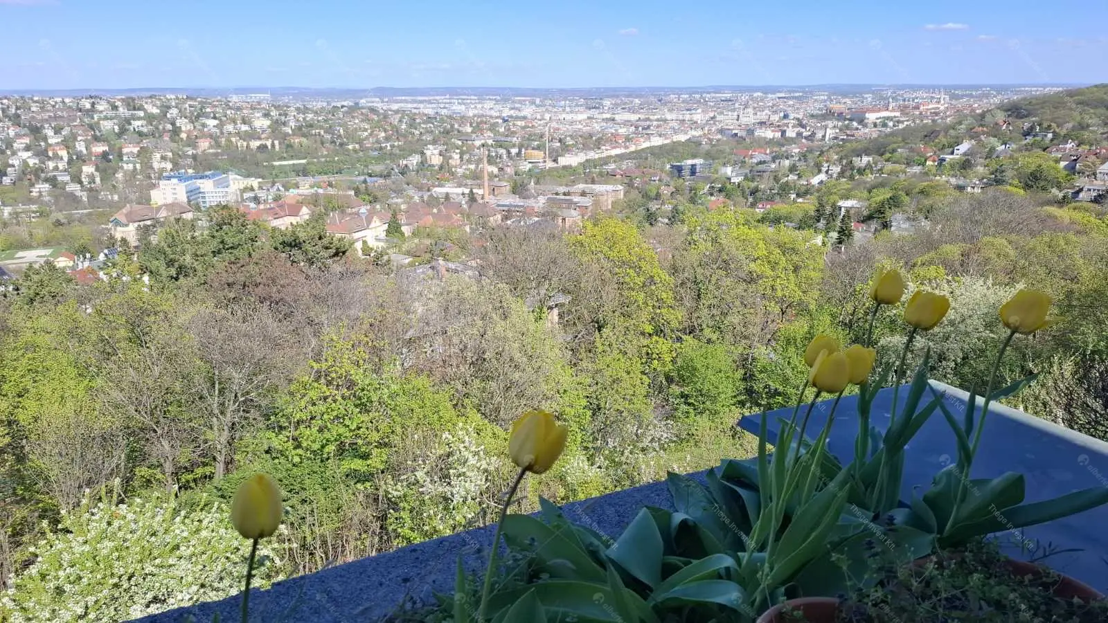 Kiadó albérlet 355000 Ft/hó áron: Budapest, XII. kerület  Zsolna utca. Mérete: 90 nm, 3 szobás | Alberlet.hu - 6699683