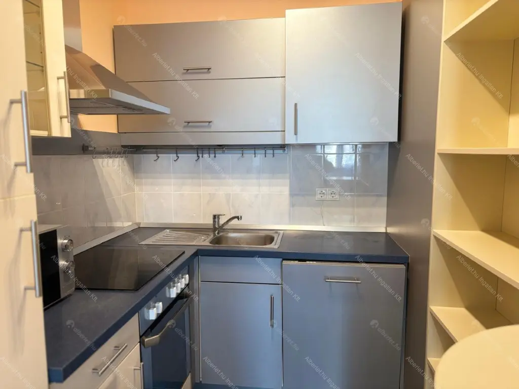 Kiadó albérlet 280000 Ft/hó áron: Budapest, XIII. kerület  Danubius utca. Mérete: 44 nm, 1 szobás | Alberlet.hu - 6668444